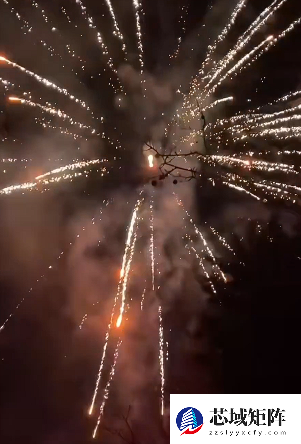 舞龙舞狮年味十足！法国万人村庄连续10年自费过春节