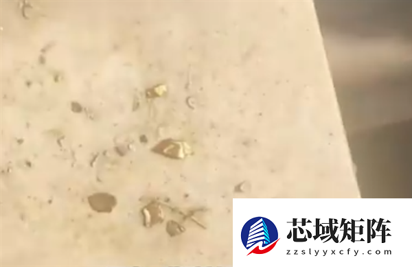 男子回应杀鸭从鸭肚中剖出黄金 ：河道曾采金 鸭子误食